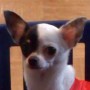 roxy2